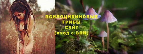 ECSTASY Абдулино