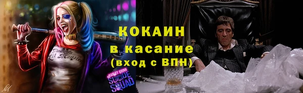 гидра Абаза