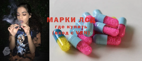 ГАЛЛЮЦИНОГЕННЫЕ ГРИБЫ Семёнов