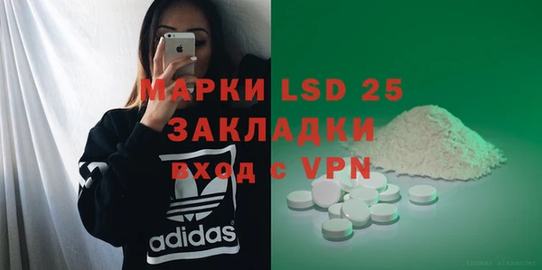 ГАЛЛЮЦИНОГЕННЫЕ ГРИБЫ Семёнов