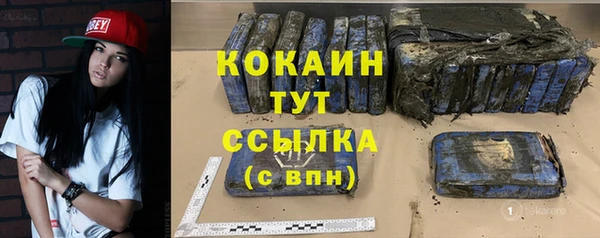 гидра Абаза